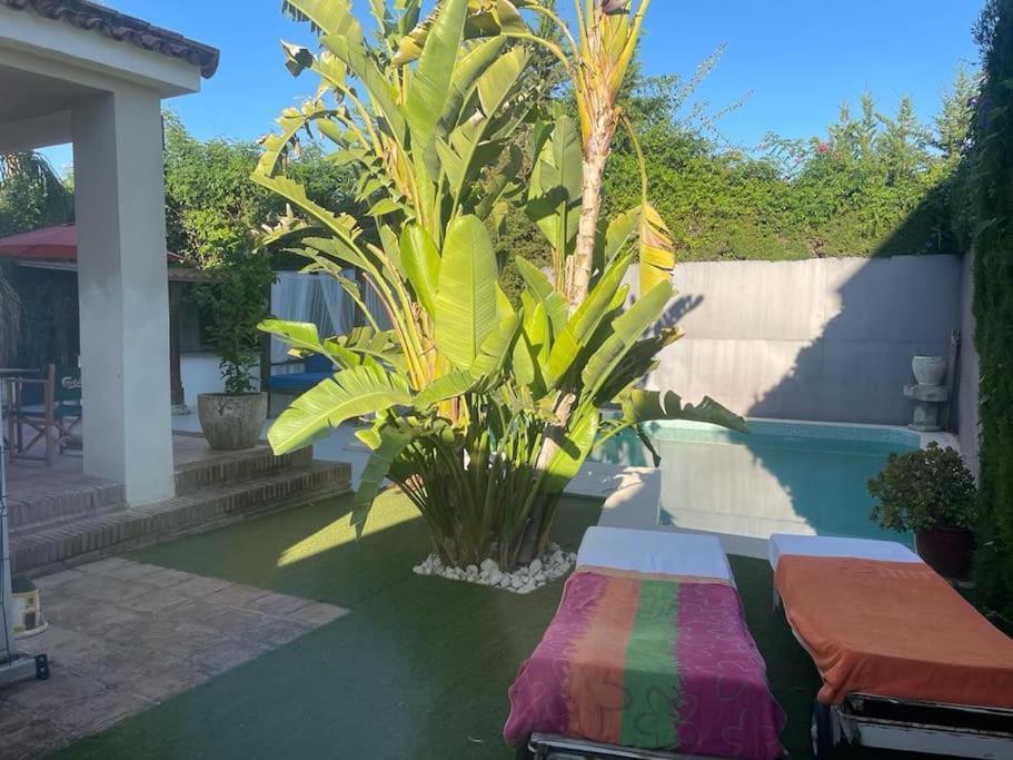 Atuaire Home Sevilla Mairena del Aljarafe Exterior photo