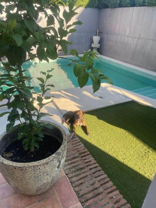 Atuaire Home Sevilla Mairena del Aljarafe Exterior photo